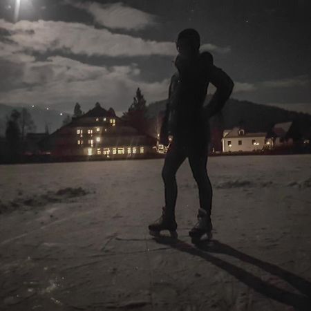 Guesthouse Ursa Preddvor Zewnętrze zdjęcie